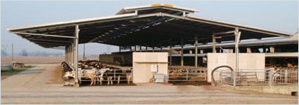 Costruzioni zootecniche